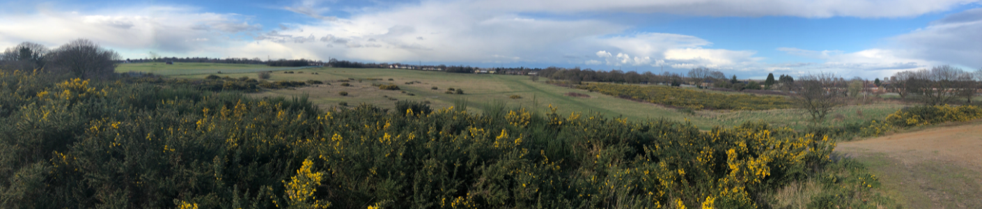 Middlewick Ranges - Buglife